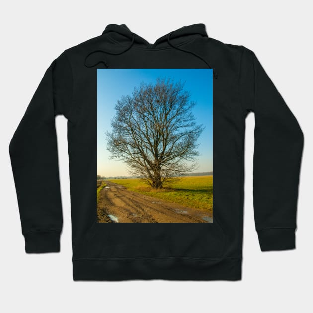 lonely tree on the meadow Hoodie by Hujer